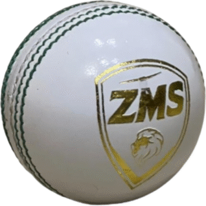 ZMS PowerCore Cricket Ball