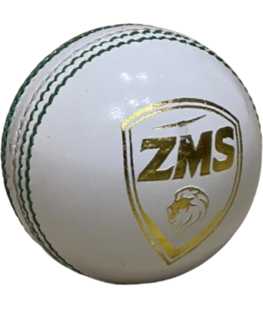 ZMS PowerCore Cricket Ball